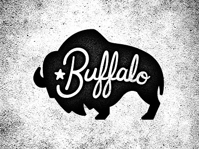 Buffalo's and stuff. black and white buffalo dirt