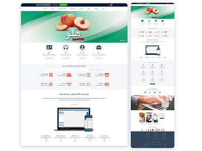Introducing the products of Torfehnegar Group app graphic design rungon stor ux web