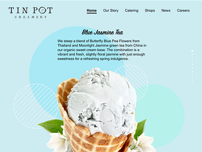 Tin Pot Web Redesign design icecream web webdesign