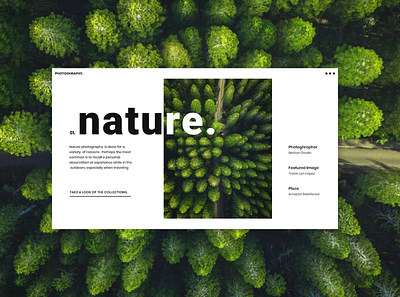 Nature Photography design flat minimal nature simple design ui