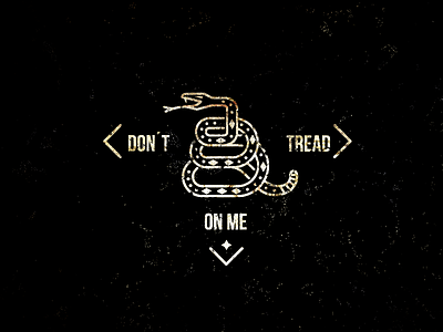 Dont tread distorded grunge snake texas tshirt