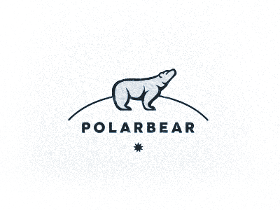 Polarbear2 adventure apparel arctic bear brand cold logo mark outdoor polar bear polar star snow