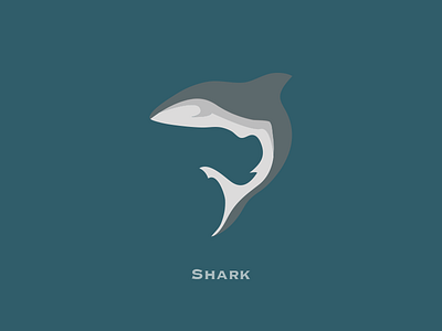 Shark creative design illustration illustrator logo shark vector