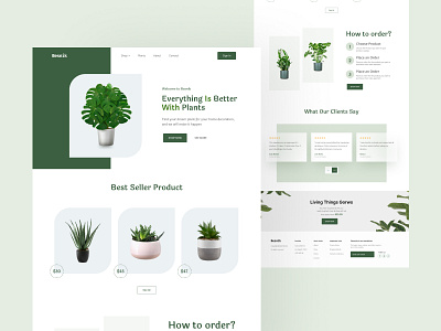 Plant Shop landing page plant ui web design