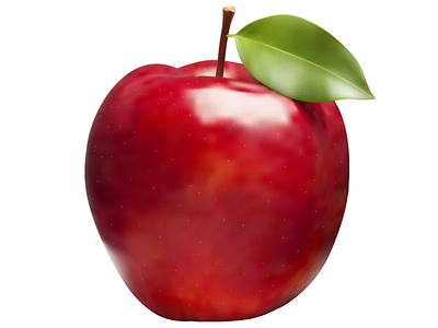 Apple apple fruit illustration photorealism vector graphics