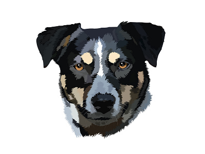 Dog Portrait art artist artwork drawing illustraion illustration illustration art portrait art sketch vector