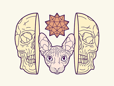 Skull & Sphynx Cat Illustration digitalart drawing geometry illustration key6art popart skull sphynx vectorart