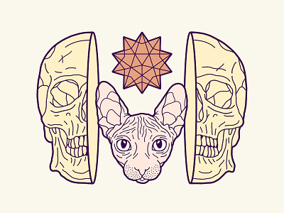 Skull & Sphynx Cat Illustration