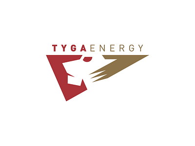 Tyga branding design icon logo