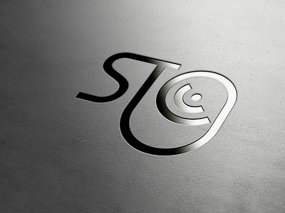 Stg Identity branding design icon logo