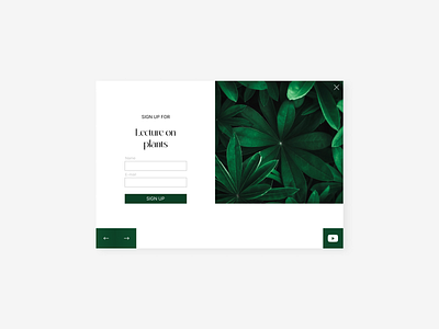 Pop-Up / Overlay 016 dailyui design plants pop up overlay sing in sing up ui ux