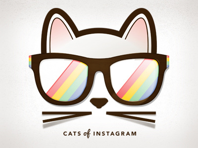 Cats of Instagram cat cats cats of instagram color glasses instagram kitty meow