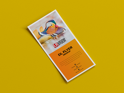 Free Dl Flyer Mockup branding design flyer flyer design flyer mockup free free mockup freebies graphics mock up mock up mockup mockup free mockup psd mockups psd