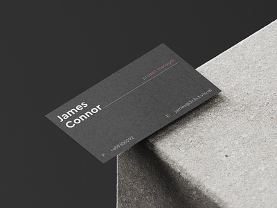 3D Visualization Studio Business Card Design