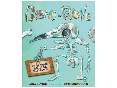 Bone by Bone: Comparing Animal Skeletons children book illustration childrens books illustration illustrations illustrator picture book picture books