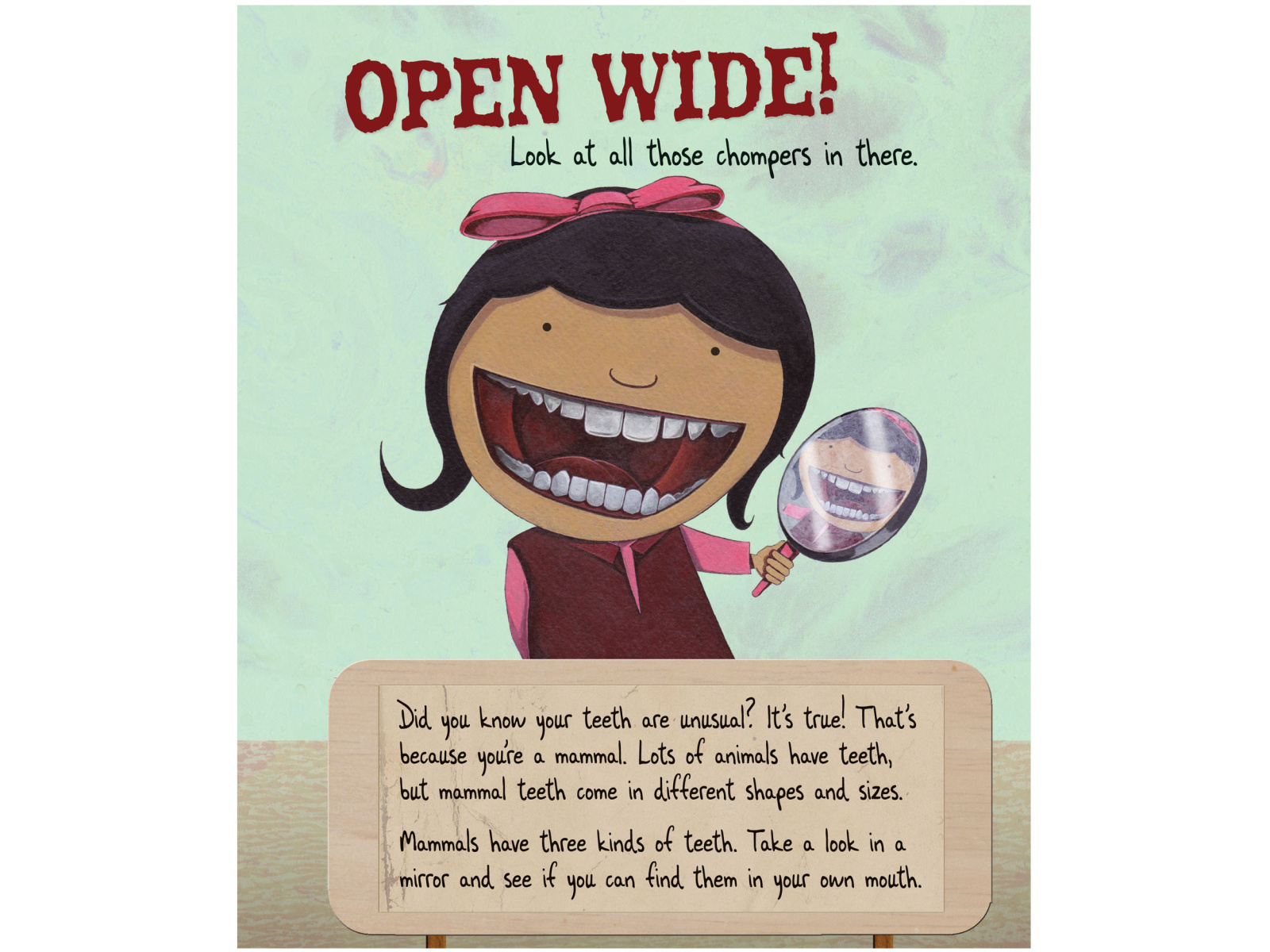 Tooth by Tooth Comparing Fangs, Tusks and Chompers by T.S Spookytooth