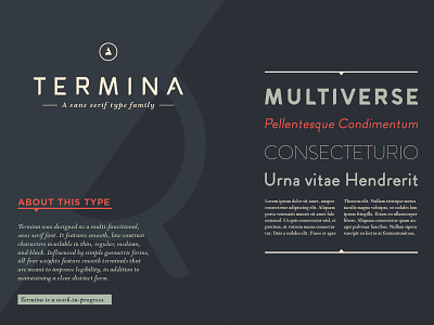 Termina - A sans-serif type family family sans sans serif termina terminal type typeface wip work in progress