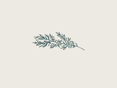 Juniper and Journey Podcast Art earthy illustration neutrals plant plant illustration podcast