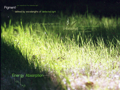 Photosynthesis biology chemistry cyticre energy green light math oxygen science space