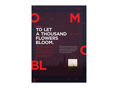 Bloom a3 bloom flowers poster quote typography