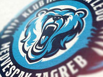 Hockey Team Logo bear brand hockey ice logo sports