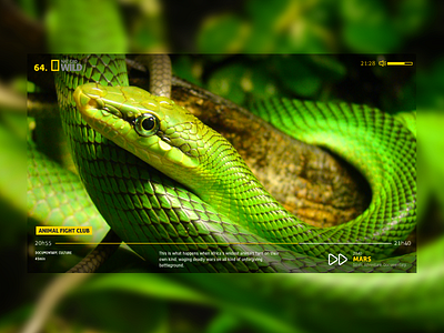 PollUX TV App 1.0 app application damien faivre green pollux snake tv ui ux yellow