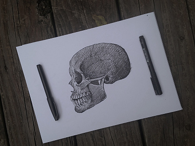 Skull bone bones ink inktober inktober2016 pen skull
