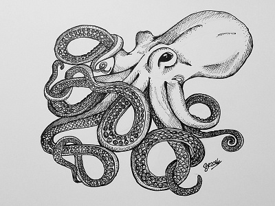 Octopus animals illustration ink inktober inktober2016 ocean octopus sea