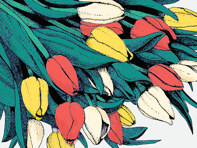 Tulips digital flowers holland illustration ink painting photoshop spring tulips
