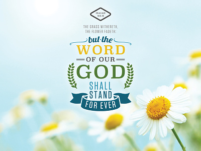 The Word of our God Typography bible blue clean flower god green typography verse word yellow