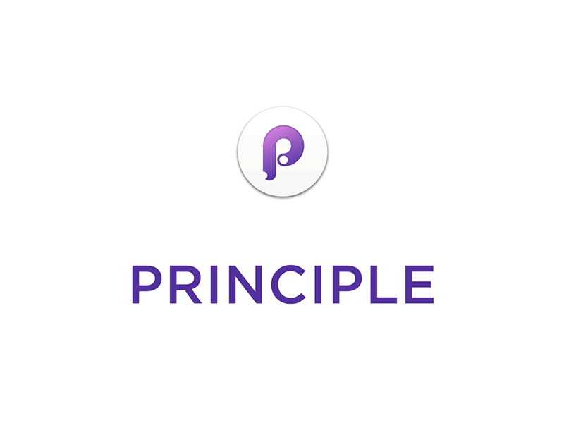 Principle - Text Animation animation principle prototype text typing