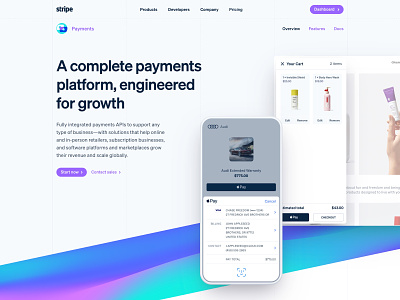 Payments branding checkout design gradient landing page payments redesign stripe typography wave