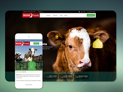 Milne Feeds branding business website design redesign site web development webdesign website