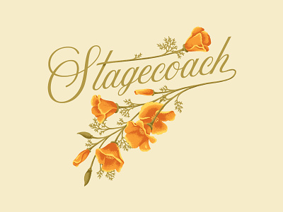 Stagecoach Flowers country festival florals flowers girl illustration music nature stagecoach vector