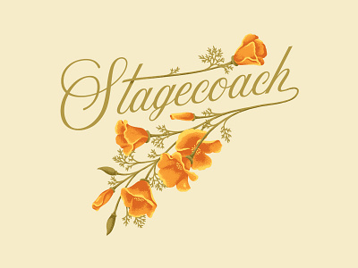 Stagecoach Flowers