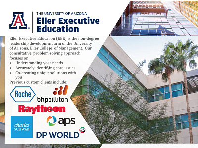 Eller Executive Education - One Page Brochure brochure collateral eee