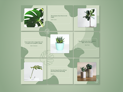 Aesthetic Plant Feed aesthetic design facebook feed illustration instagram social media