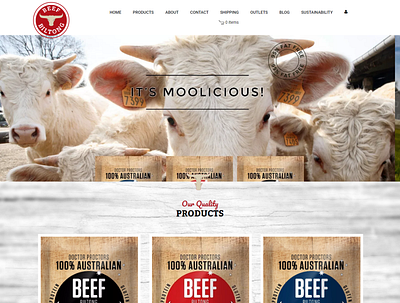 Beef Biltong custom customization design web wordpress
