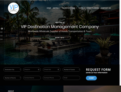 VIP DMC angular custom customization design javascript web