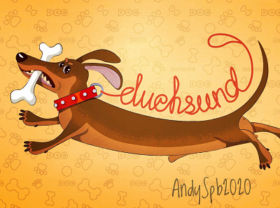 Duchsund design flat illustration vector