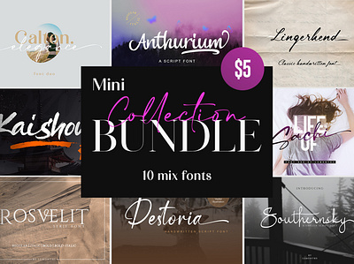 Mini Collection Bundle - 10 Mix Font branding brush calligraphy design fonts handlettering logo typeface typography