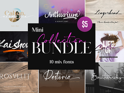 Mini Collection Bundle - 10 Mix Font