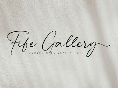 Fife Gallery - Modern Calligraphy Font branding calligraphy design fonts handlettering typeface typography