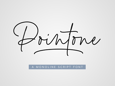 Pointone - Monoline Script Font branding calligraphy design fonts handlettering illustration logo typeface typography ui