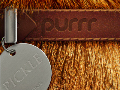 Purrr iPhone app animal app application branding cat chrome feline fur gui interface ios iphone leather logo metal mobile stitching texture ui