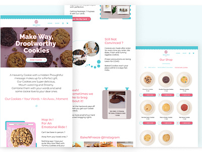 BakeNFreeze: Ecommerce Website case study