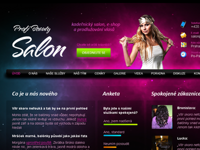 ProfiBeauty Salon Website beauty color hairdressing header homepage salon web web design website