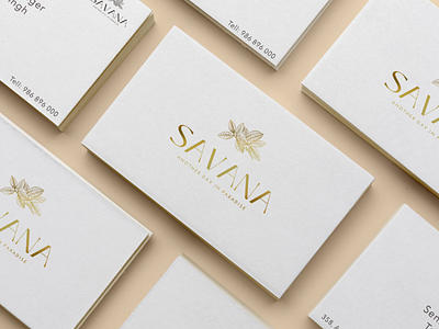 Savana resorts 3d branding graphic design logo