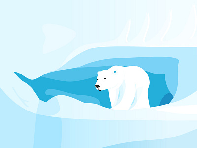 Polar bear animal illustration annimal