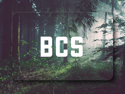 BCS Logo Design branding design logo